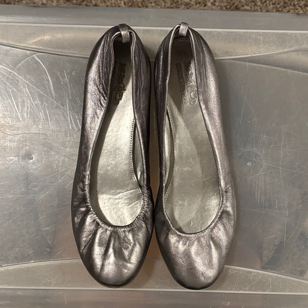 Coach and Four Shimmering Pewter Loafers
